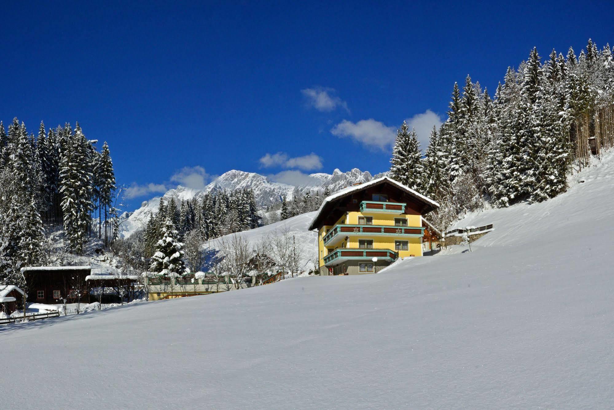 לינה וארוחת בוקר Mühlbach am Hochkönig Haus Elisabeth מראה חיצוני תמונה