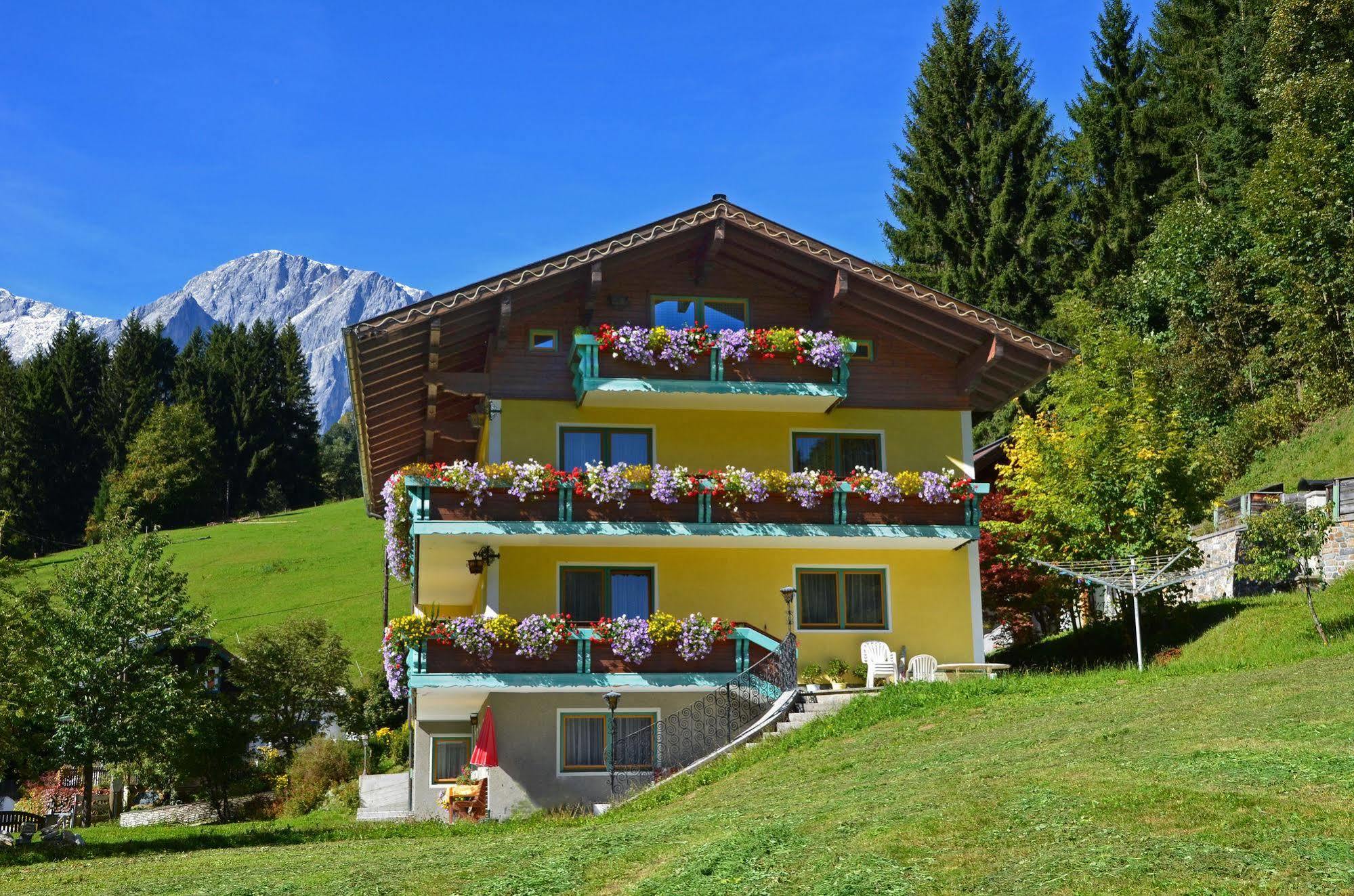 לינה וארוחת בוקר Mühlbach am Hochkönig Haus Elisabeth מראה חיצוני תמונה