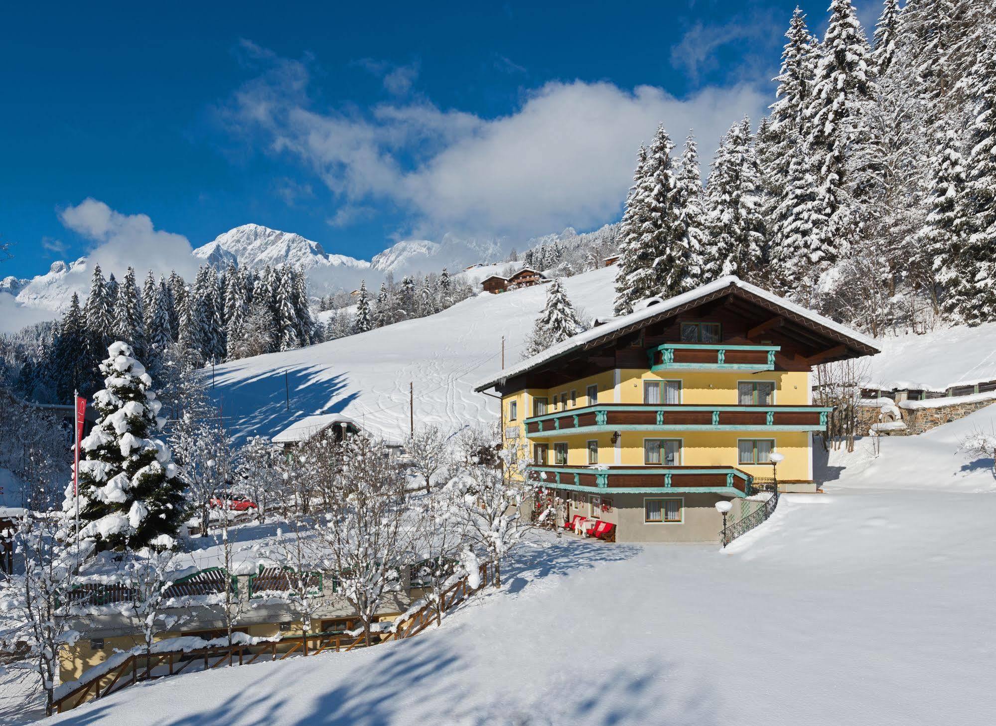 לינה וארוחת בוקר Mühlbach am Hochkönig Haus Elisabeth מראה חיצוני תמונה
