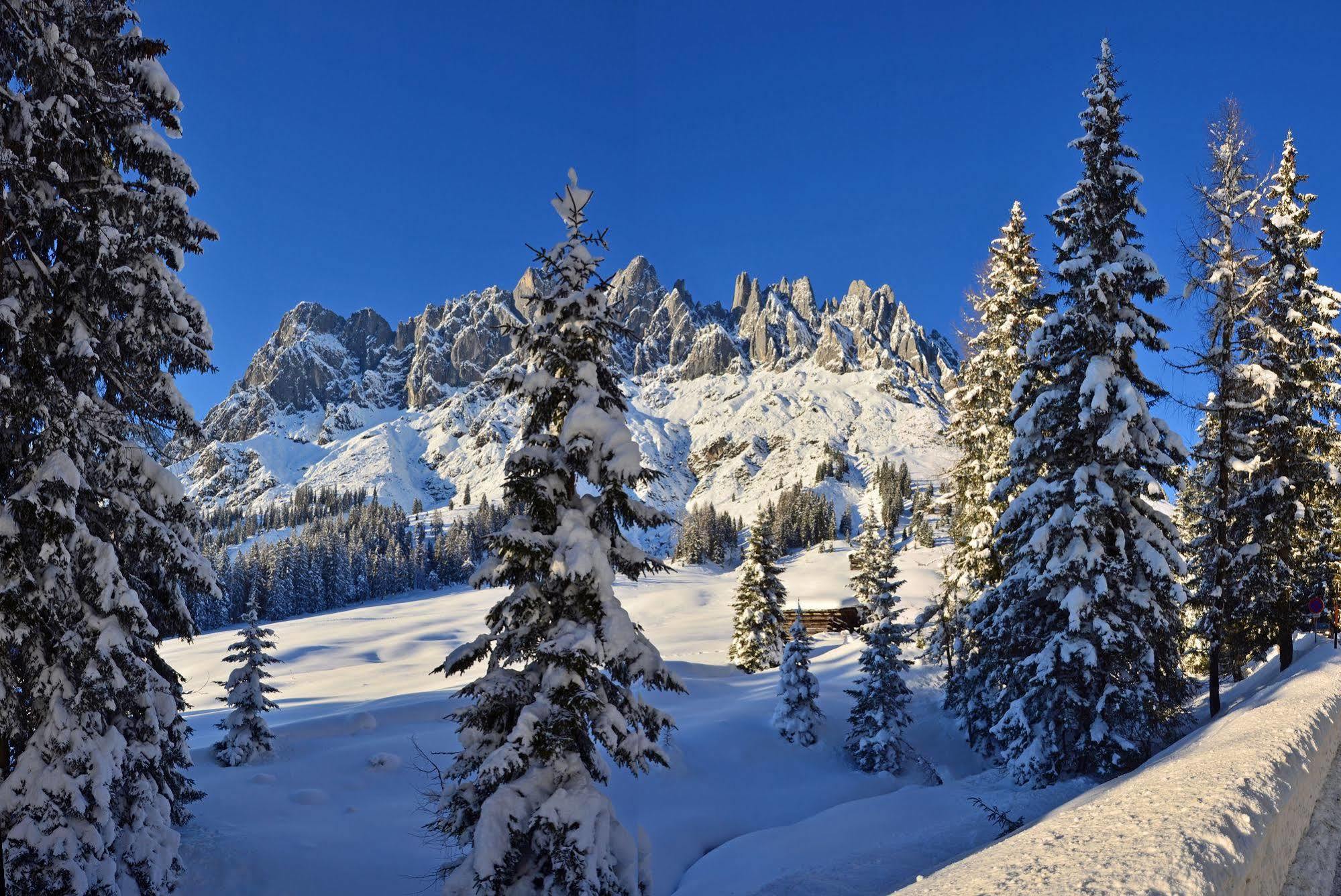 לינה וארוחת בוקר Mühlbach am Hochkönig Haus Elisabeth מראה חיצוני תמונה