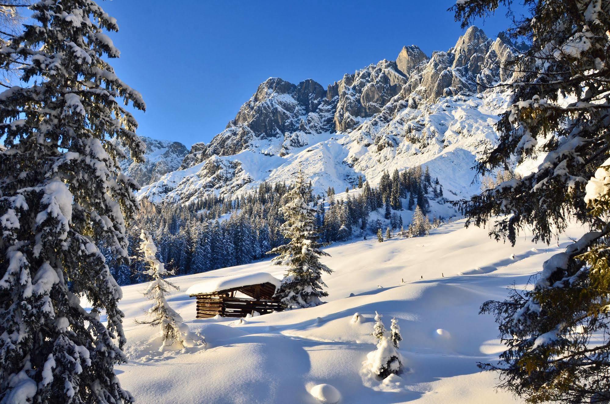 לינה וארוחת בוקר Mühlbach am Hochkönig Haus Elisabeth מראה חיצוני תמונה